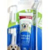 Bioline mint Dental Oral care kit